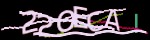show_captcha